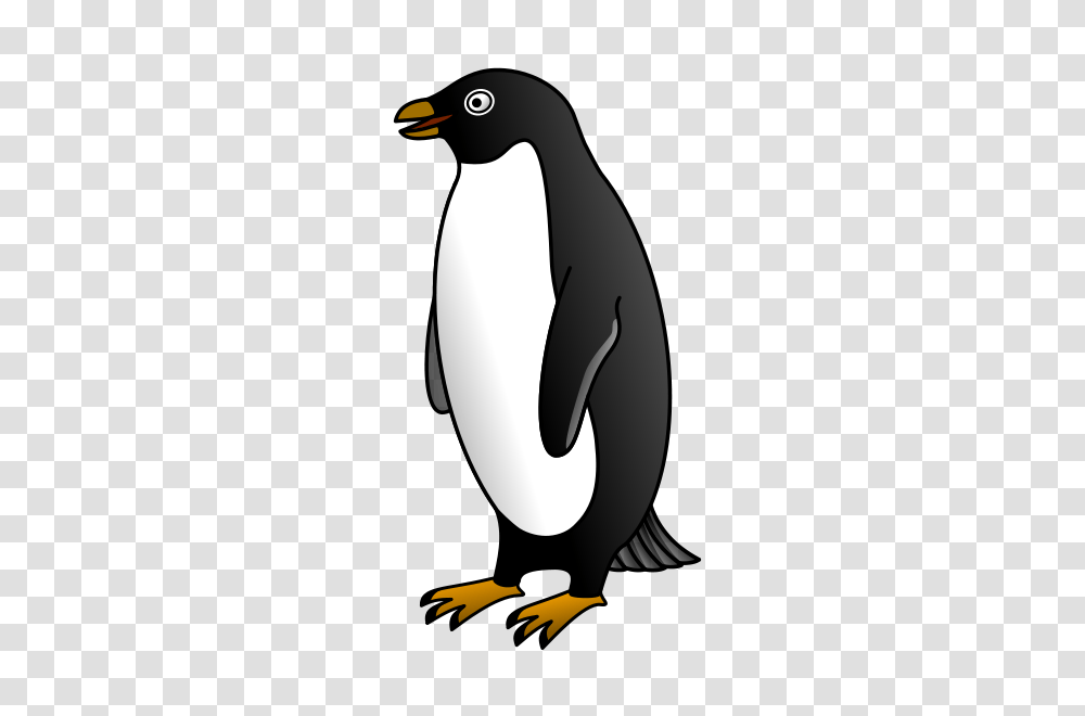Animal Clip Arts, Bird, Penguin, King Penguin Transparent Png
