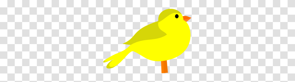 Animal Clip Arts, Canary, Bird, Finch Transparent Png