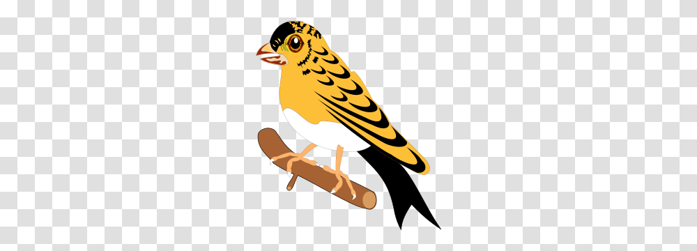 Animal Clip Arts, Finch, Bird, Sparrow, Person Transparent Png