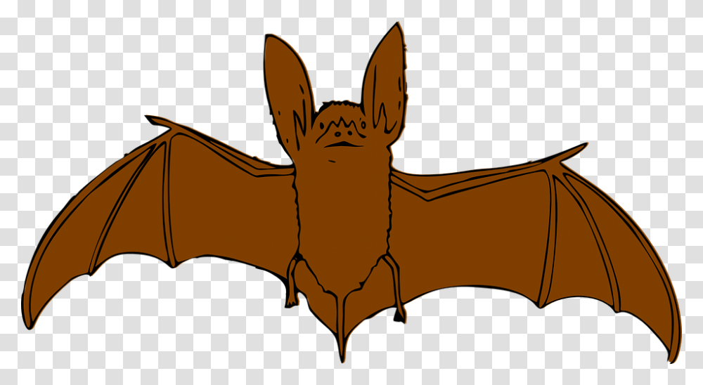 Animal Clipart Bat Brown Bat Clipart, Wildlife, Mammal, Deer, Tent Transparent Png