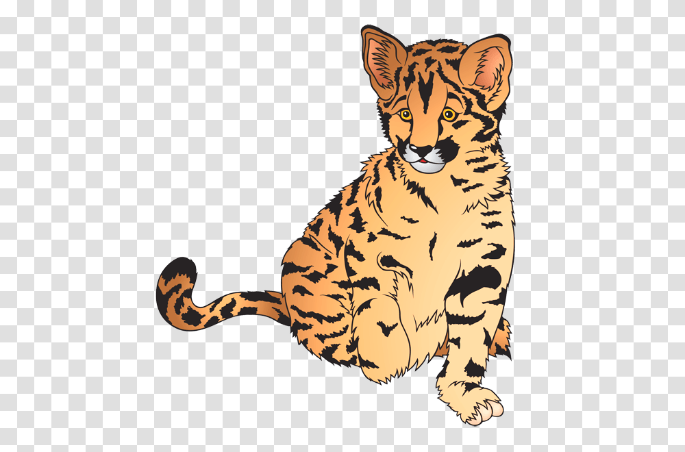 Animal Cliparts, Tiger, Wildlife, Mammal, Lynx Transparent Png