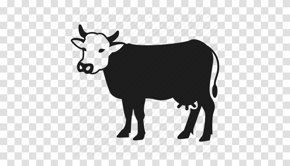 Animal Cow Farm Farm Animal Icon, Piano, Leisure Activities, Musical Instrument, Mammal Transparent Png
