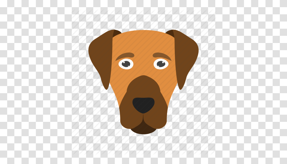 Animal Cute Dog Dogs Eyes Face Puppy Icon, Snout, Toy, Pet, Mammal Transparent Png