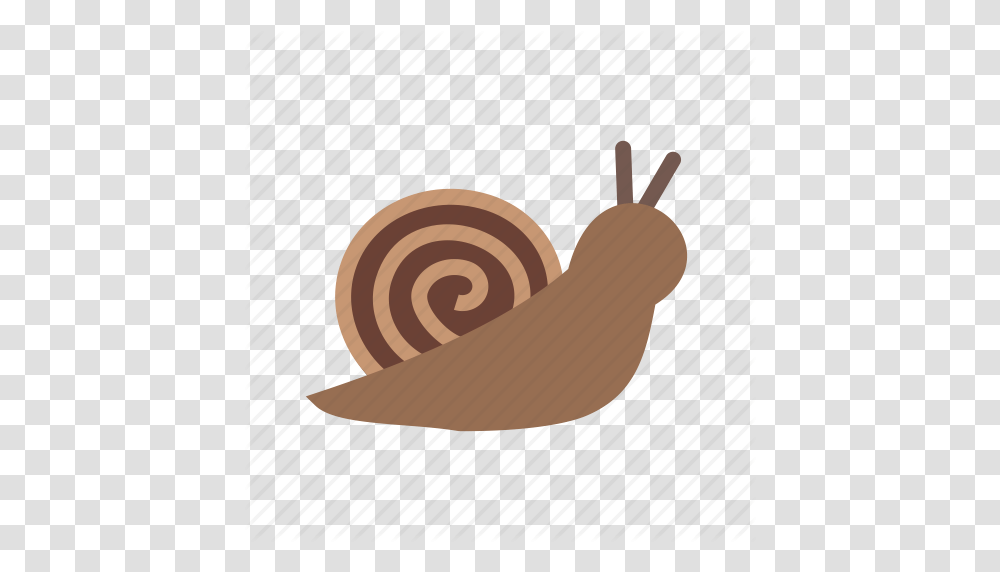 Animal Cute Garden Shell Slow Small Snail Icon, Invertebrate, Slug Transparent Png