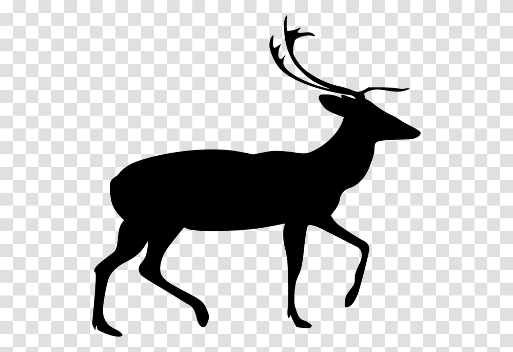 Animal Deer Mammal Silhouette Stag Zoo Deer Silhouette, Gray, World Of Warcraft Transparent Png
