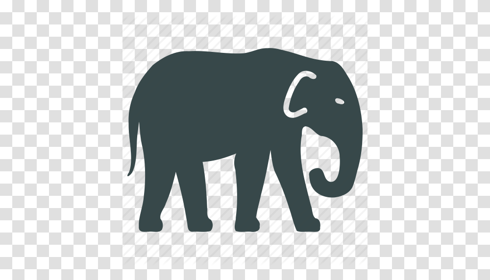 Animal Elephant Fauna Mammal Mammoth Nature Wildlife Icon Transparent Png