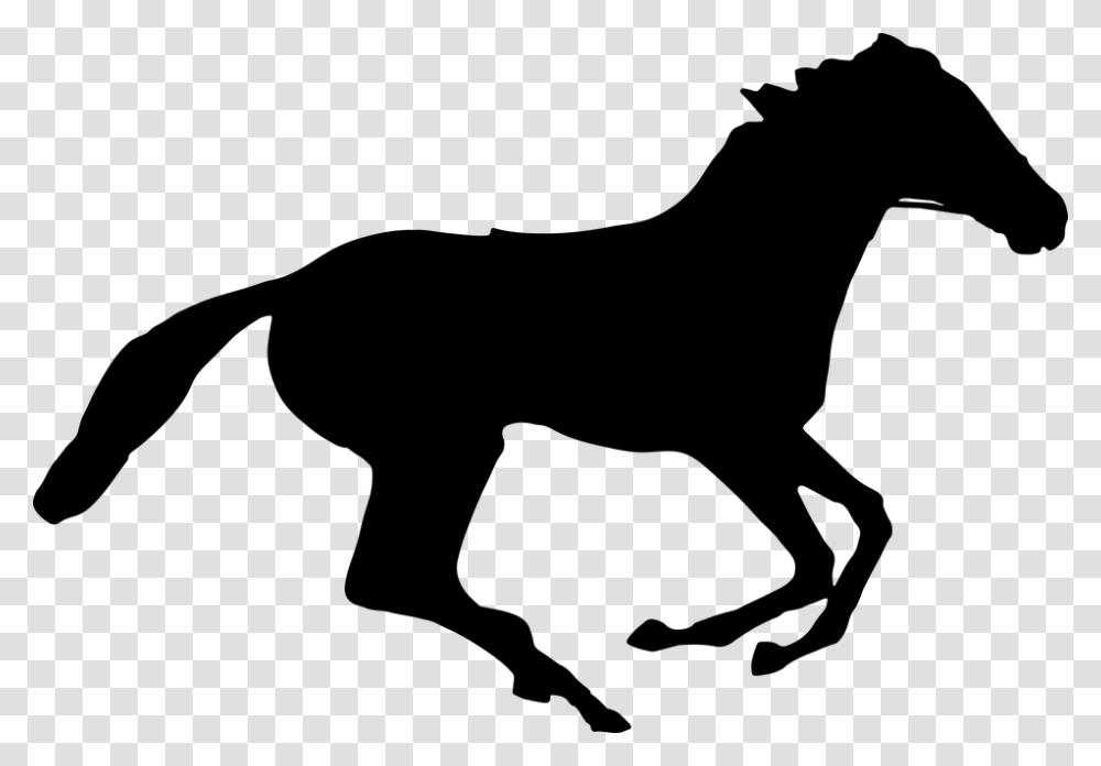 Animal Equine Horse Ride Silhouette Running Horse Silhouette, Gray, World Of Warcraft Transparent Png