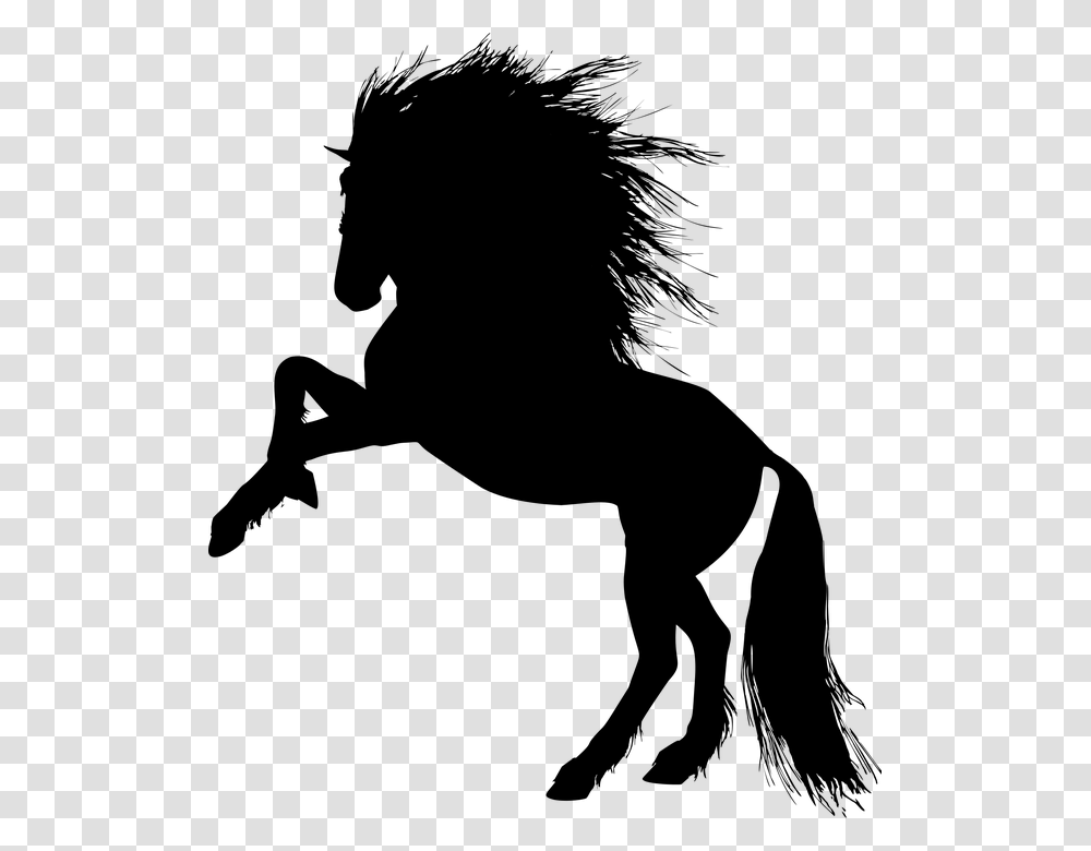 Animal Equine Rearing Horse Silhouette Ride Rearing Unicorn, Gray Transparent Png