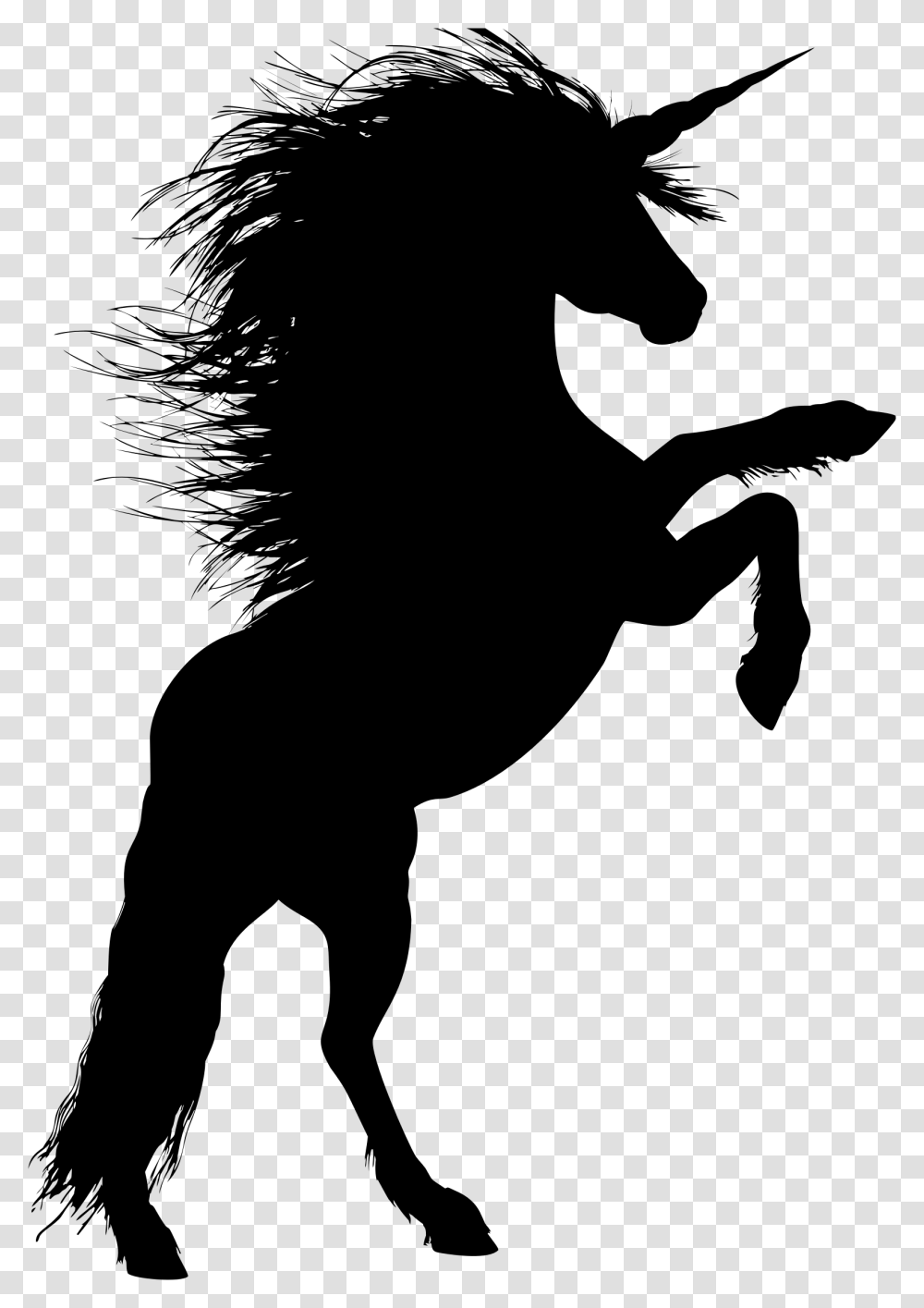 Animal Equine Rearing Horse Silhouette Ride Unicorn Silhouette Rearing Up, Gray Transparent Png