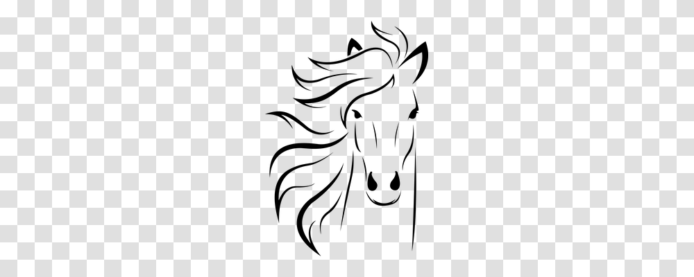 Animal Equino Rosto Cavalo Cricket Horse, Gray, World Of Warcraft Transparent Png