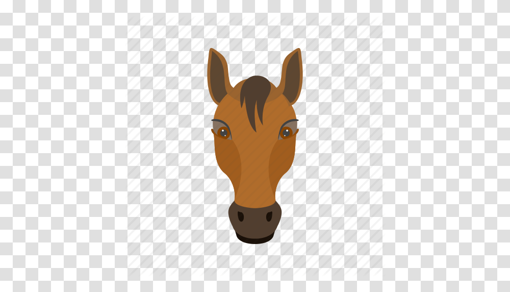 Animal Face Fast Horse Horses Race Riding Icon, Pig, Mammal, Hog, Fish Transparent Png