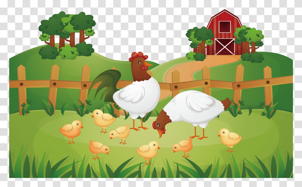 Animal Farm Chicken Rooster Poultry Farming Poultry Farm, Bird, Fowl, Turkey Bird Transparent Png