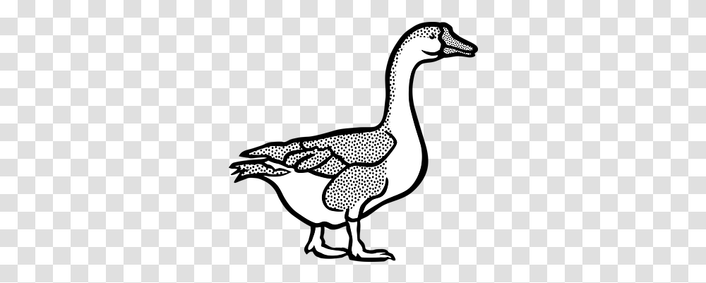 Animal Farm Geese Goose Tier Goose Black And White Goose In Black And White, Bird, Beak, Vulture, Dodo Transparent Png