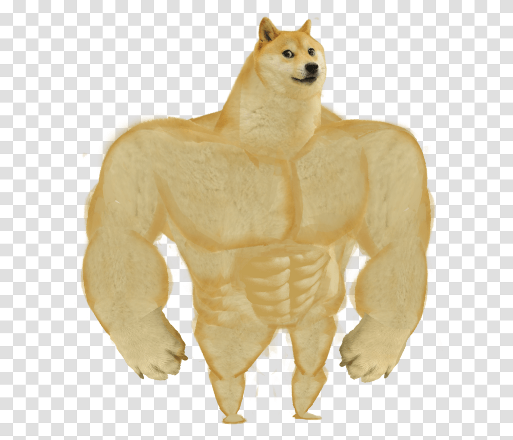 Animal Figure Canidae Buff Doge, Mammal, Costume, Wildlife, Toy Transparent Png