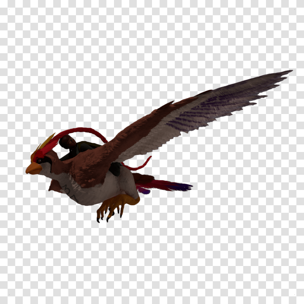 Animal Figure, Flying, Bird, Vulture, Puffin Transparent Png