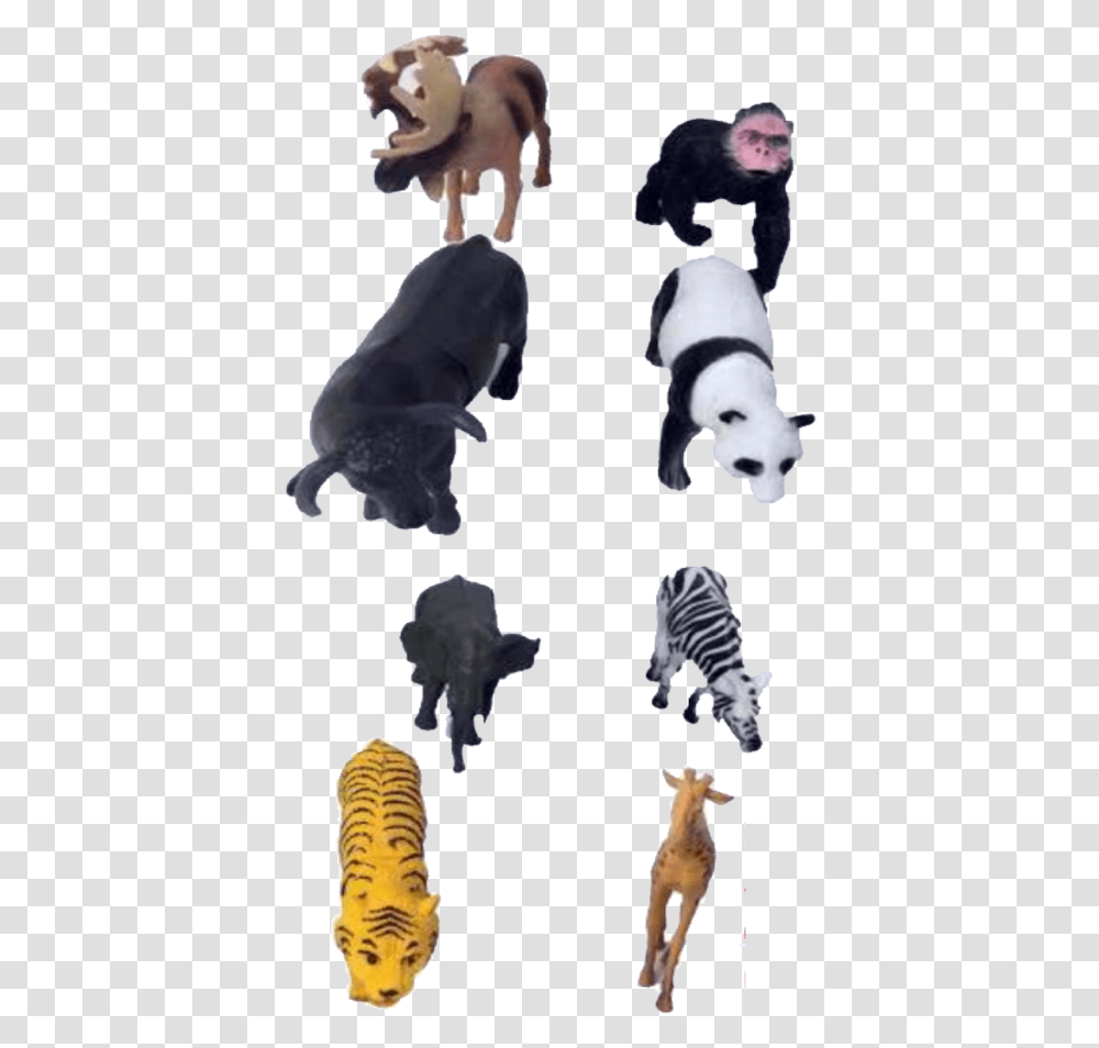 Animal Figure, Mammal, Person, Human, Outdoors Transparent Png