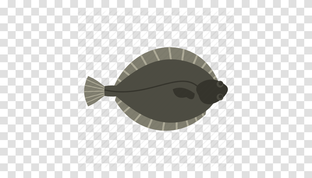 Animal Fish Flatfish Flounder Food Fresh Seafood Icon, Sea Life, Halibut, Ceiling Fan, Appliance Transparent Png