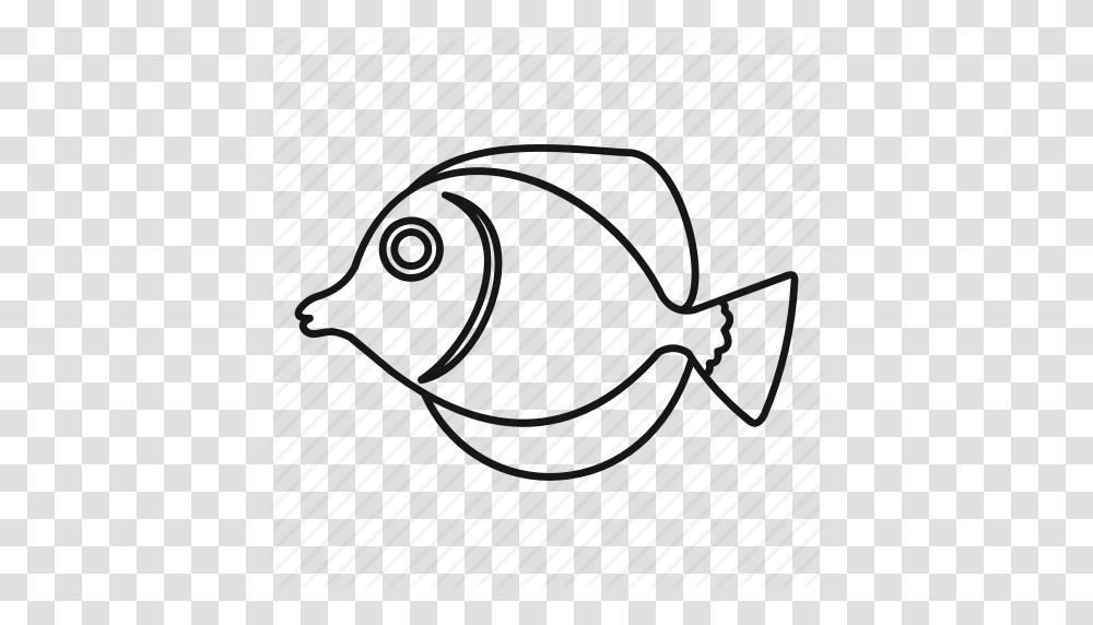 Animal Fish Line Marine Outline Reef Tropical Icon, Outdoors, Plan, Plot, Diagram Transparent Png