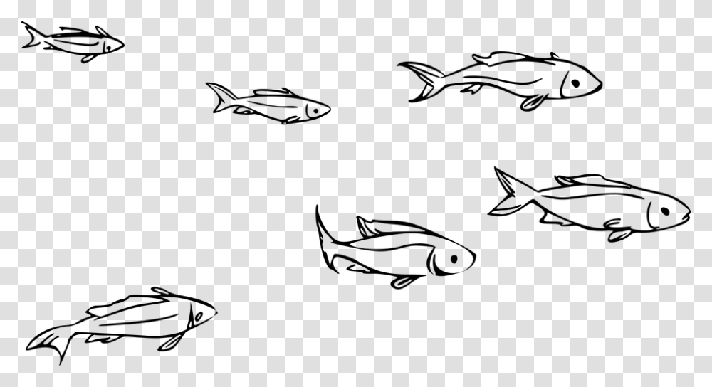 Animal Fish Ocean Ocean Theme River Sea School Of Fish Clipart Black And White, Gray, World Of Warcraft Transparent Png