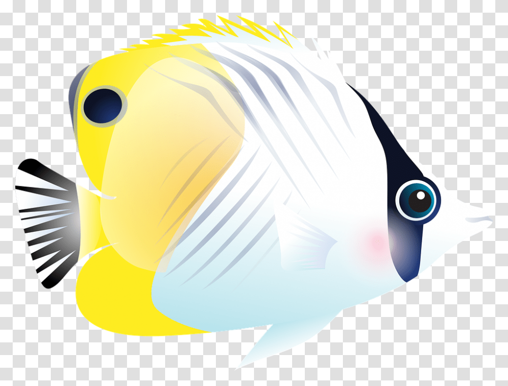Animal, Fish, Sea Life, Angelfish Transparent Png