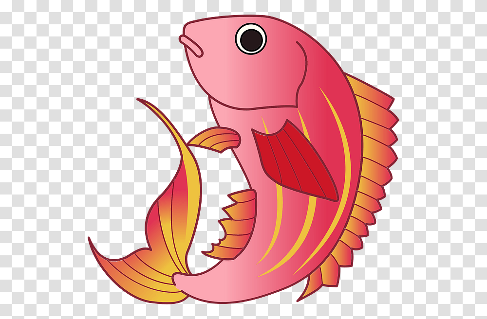 Animal, Fish, Sea Life, Goldfish Transparent Png