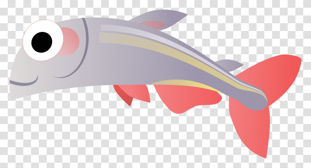 Animal, Fish, Sea Life, Tuna Transparent Png