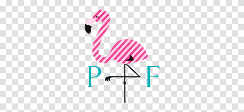 Animal, Flamingo, Bird Transparent Png