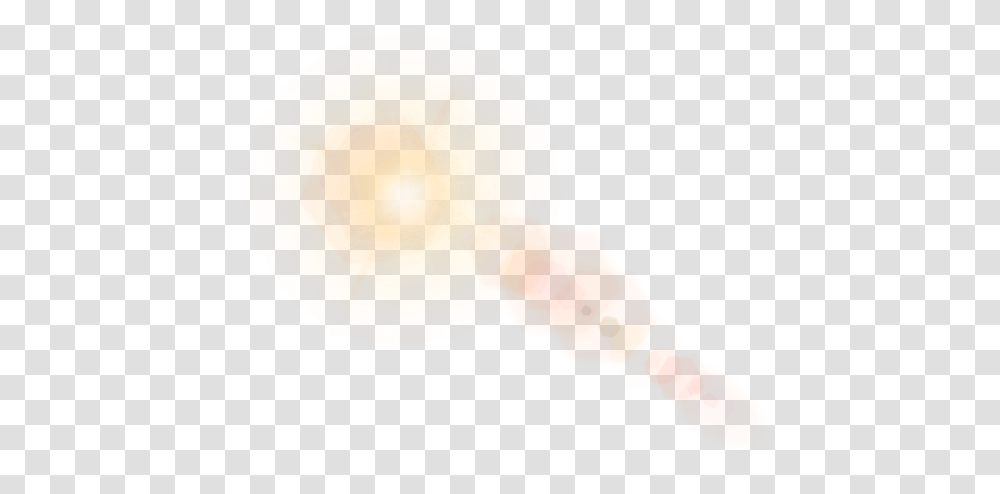 Animal, Flare, Light, Sweets, Food Transparent Png