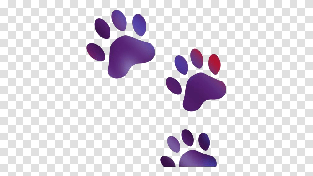 Animal Footprint Hd Images Vectors Dog Print Transparent Png