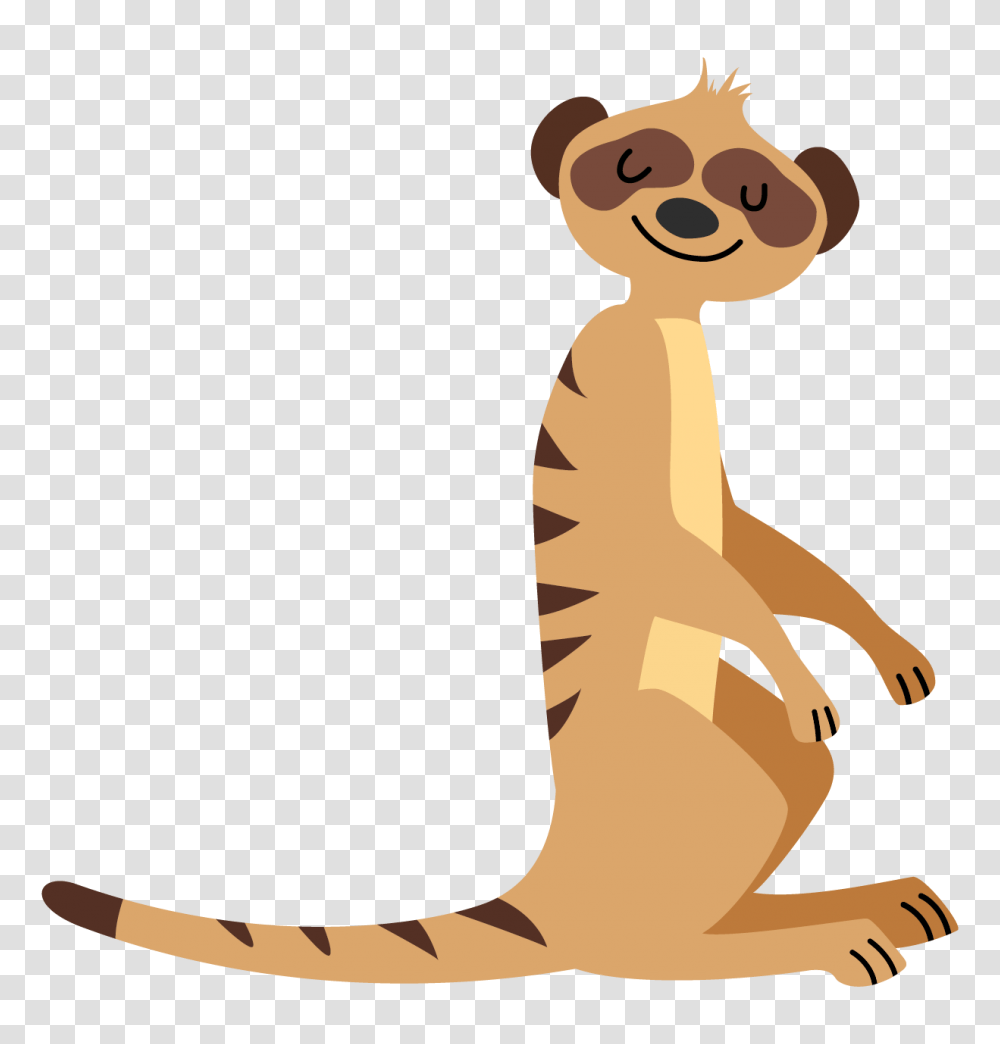 Animal Fun Meerkat Program Animal Fun, Kangaroo, Mammal, Wallaby, Standing Transparent Png