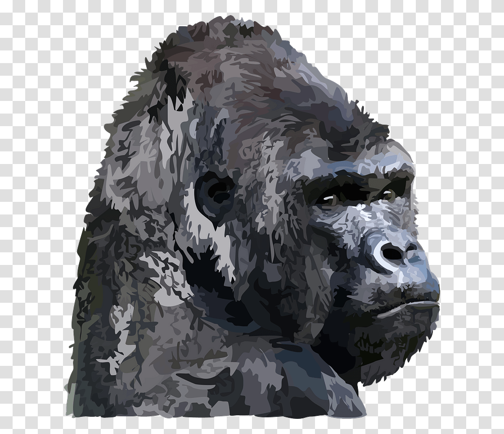 Animal Gorilla Gorilla Gray Head, Ape, Wildlife, Mammal Transparent Png