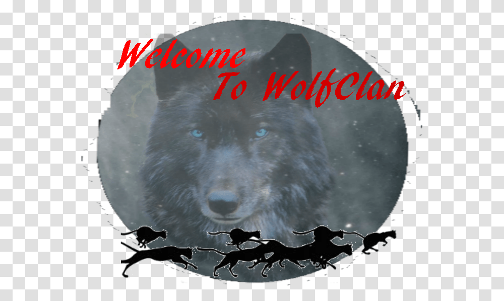 Animal Groups Roleplay Wiki Dog, Wolf, Mammal, Bird, Bear Transparent Png