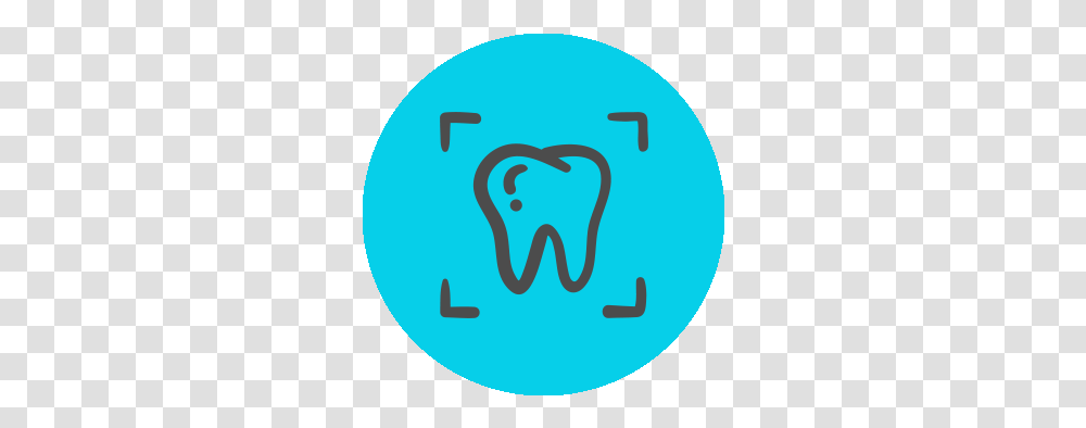 Animal Health Midmark Animal Health Digital Dental X Ray Icon, Text, Label, Symbol, Number Transparent Png