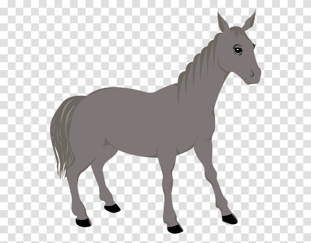 Animal Horse Icon Free Vector Graphic On Pixabay, Mammal, Foal, Donkey, Colt Horse Transparent Png