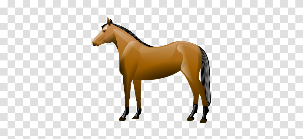 Animal Horse Icon, Mammal, Colt Horse, Foal Transparent Png
