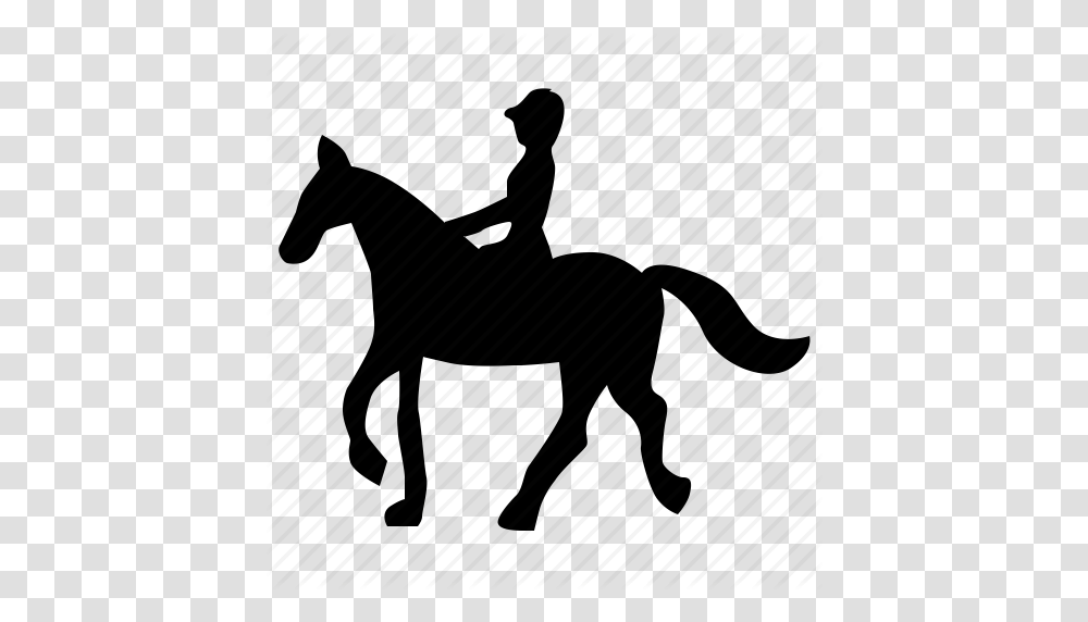 Animal Horse Riding Sport Icon, Piano, Leisure Activities, Musical Instrument, Mammal Transparent Png