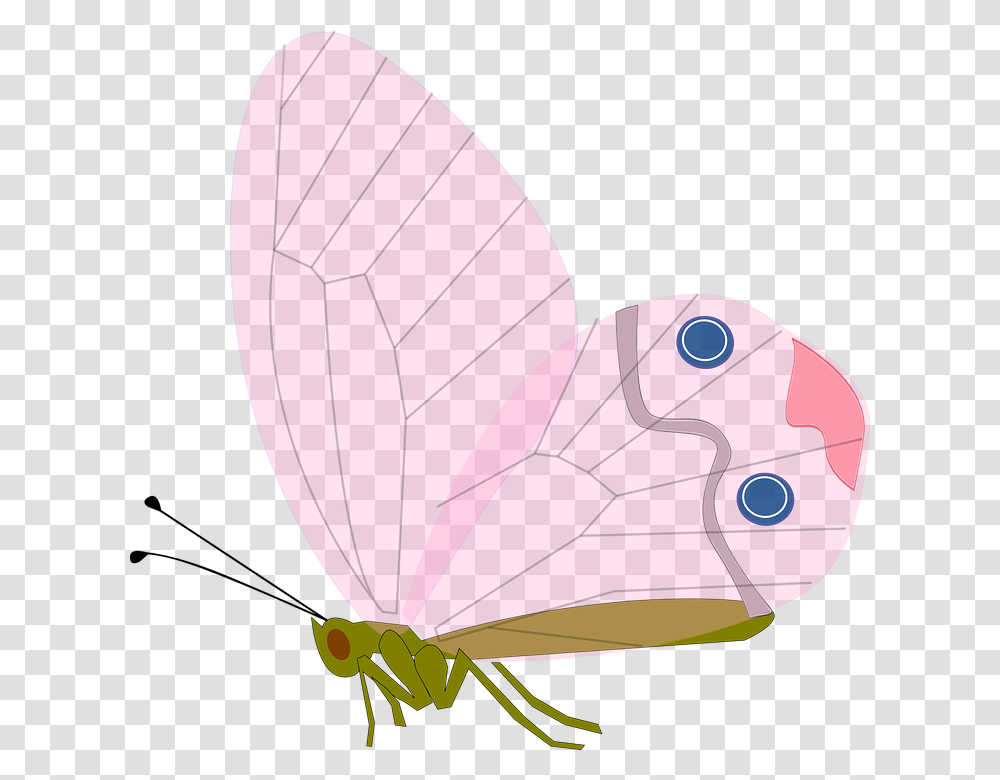 Animal, Invertebrate, Balloon, Insect Transparent Png