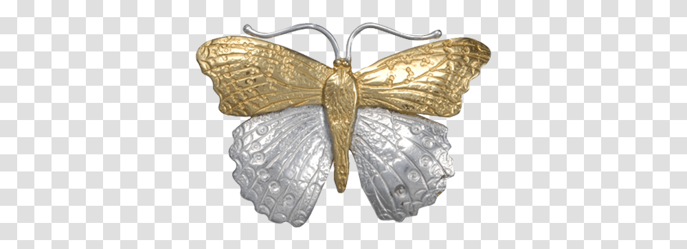 Animal, Invertebrate, Insect, Butterfly Transparent Png