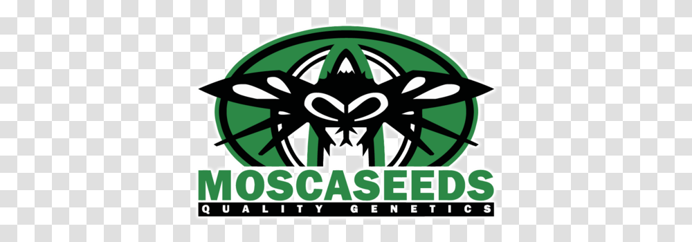 Animal Jam Mosca Seeds Logo, Symbol, Trademark, Emblem, Stencil Transparent Png