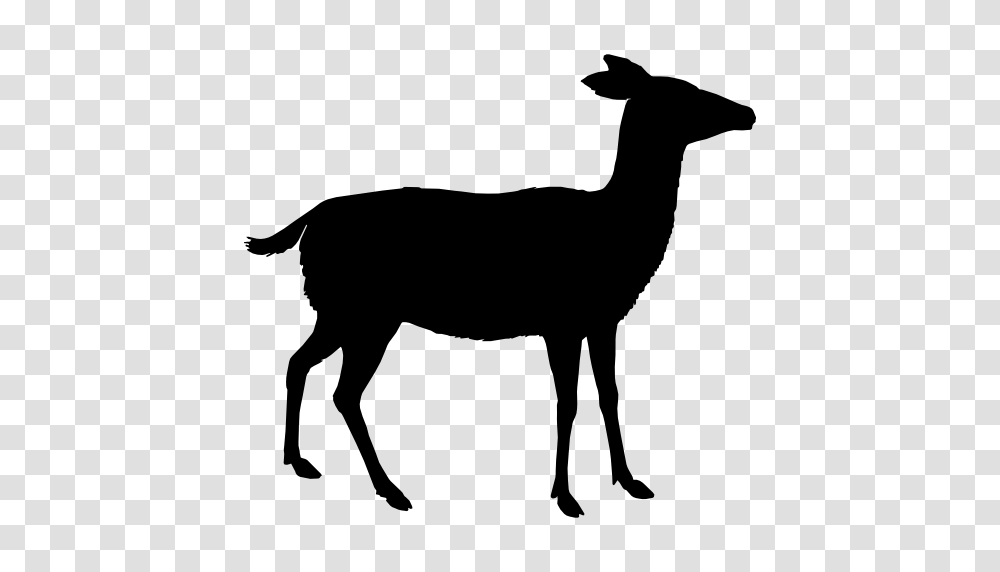 Animal Kingdom Shape Shapes Deer Silhouette Animal, Gray Transparent Png