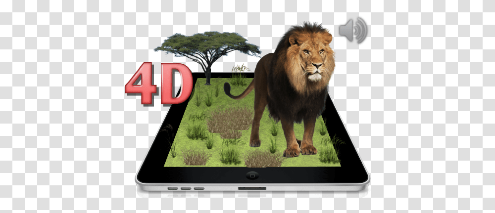 Animal Life 4d 1 Animal Life 4d Cards, Lion, Wildlife, Mammal, Monitor Transparent Png