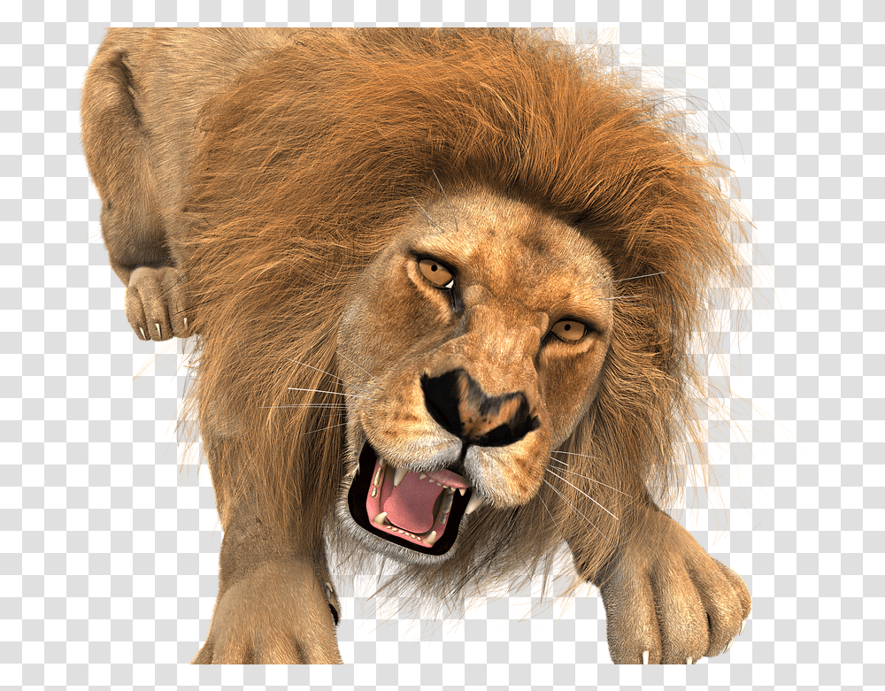 Animal Lion Male King Of The Beasts Big Cat Wild Lion Hunting Background, Wildlife, Mammal Transparent Png