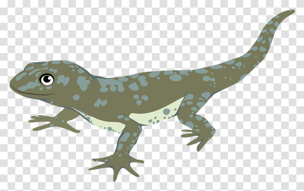 Animal Lizard Fox Animal Figure, Gecko, Reptile, Crocodile, Alligator Transparent Png