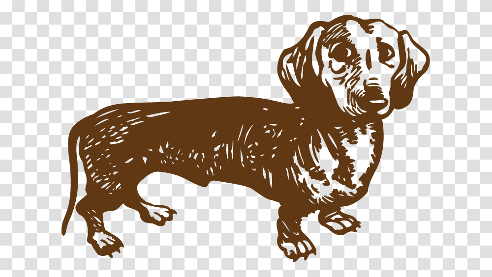 Animal, Mammal, Pet, Canine Transparent Png