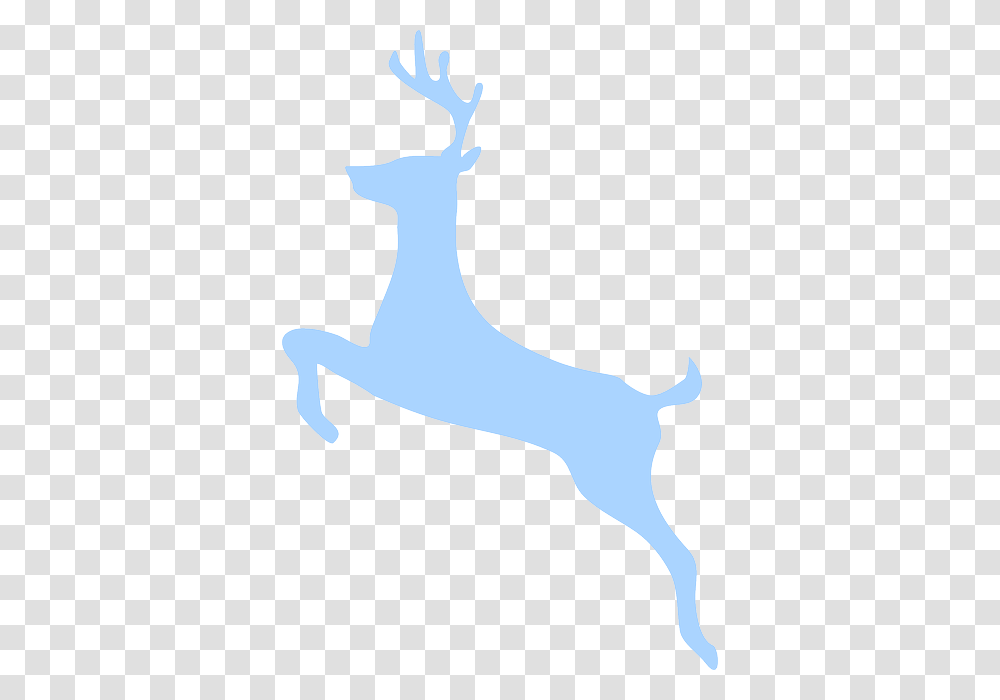 Animal, Mammal, Silhouette, Outdoors Transparent Png