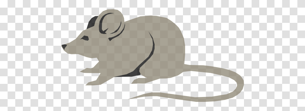 Animal Mice And Clip Art, Mammal, Rodent, Wildlife, Rat Transparent Png