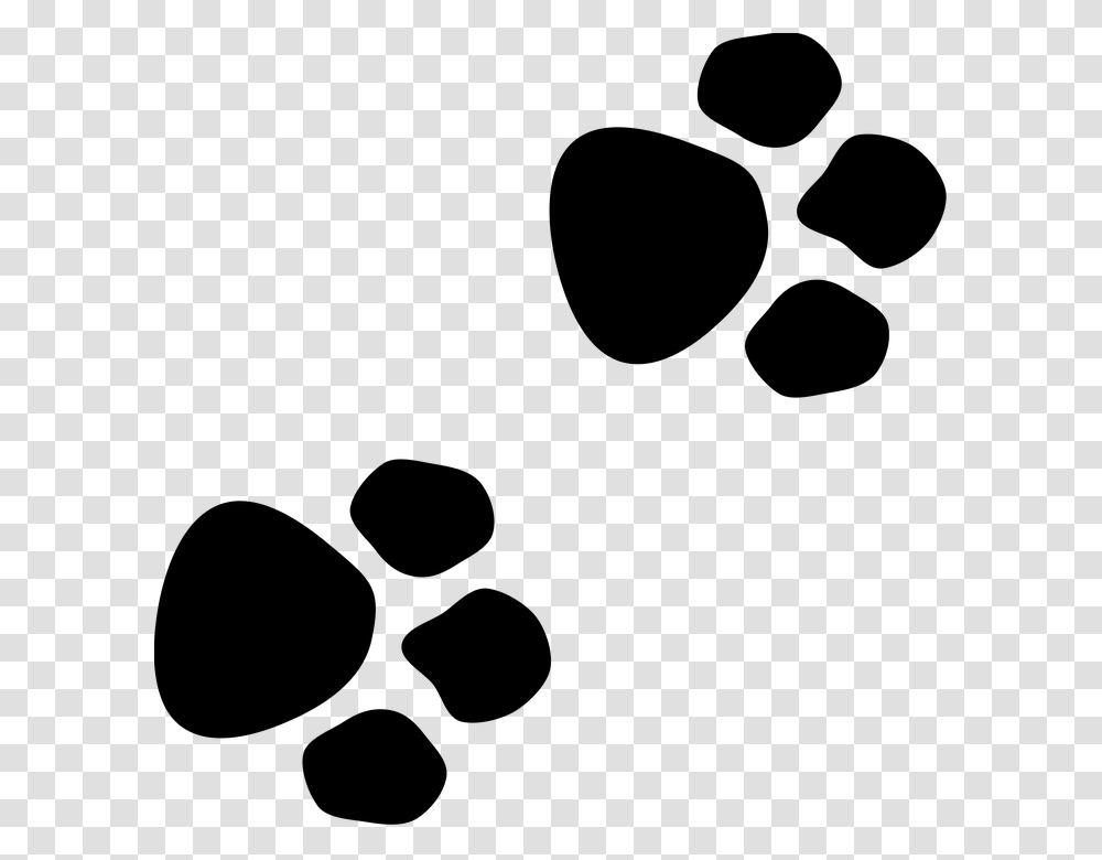 Animal Paws, Gray, World Of Warcraft Transparent Png