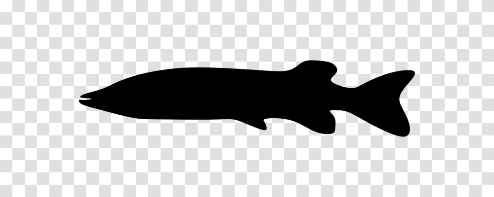 Animal Pet Animals, Gray, World Of Warcraft Transparent Png