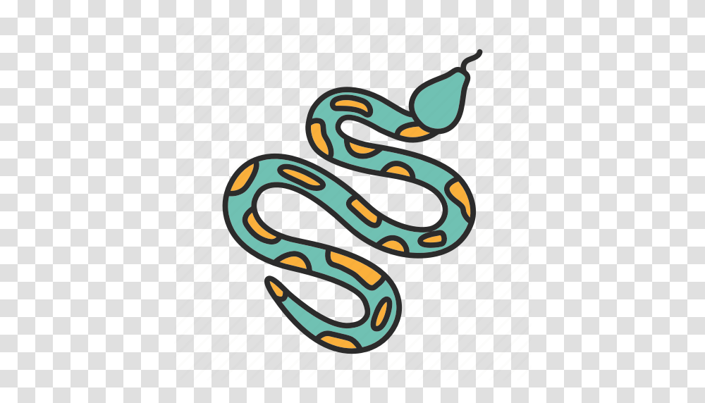 Animal Pet Python Reptile Reptilian Serpent Snake Icon Transparent Png