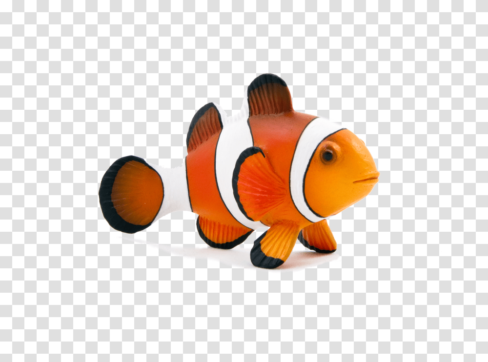 Animal Planet Clown Fish, Amphiprion, Sea Life, Peel, Goldfish Transparent Png